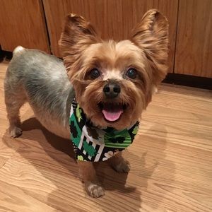 Meet your Posher, Tara